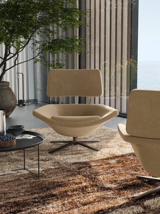 Zoom'